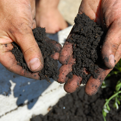 Standard Penetration Test (SPT) a Basic Soil Testing Procedure